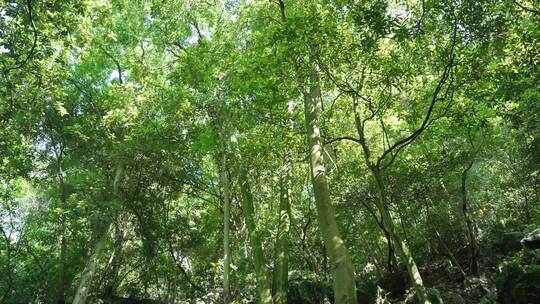 杭州飞来峰 佛像