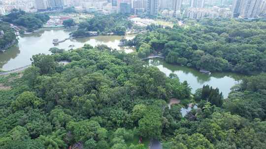 广州天河公园航拍