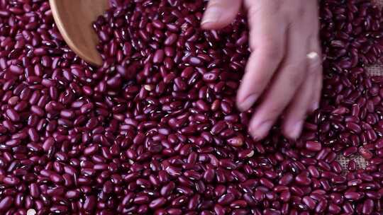 红豆 红豆产品 红小豆 红豆农产品豆制品视频素材模板下载