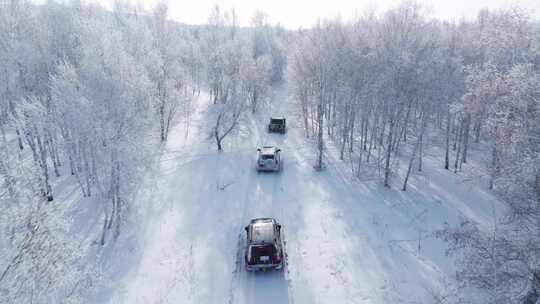 4K呼伦贝尔雪原雾凇车队行驶12