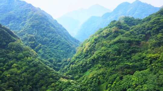 茂密葱郁的山林自然景观