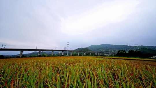 田野间的高铁线路航拍风光