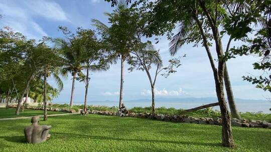 海岸的椰子树与草坪