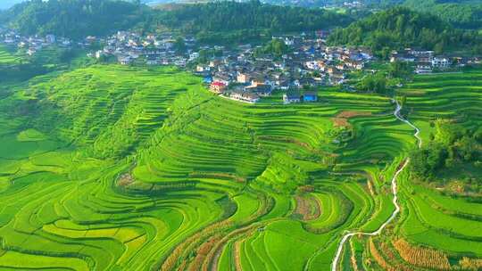 乡村梯田与村落俯瞰全景