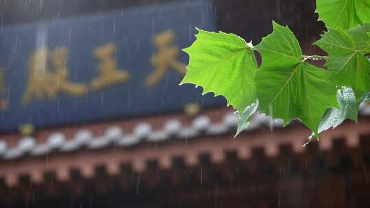 雨天屋檐下雨雨水惊蛰禅意古风清明大暑