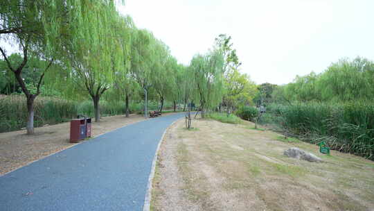 武汉光谷三路湿地公园风景