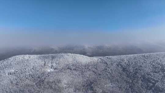 航拍大兴安岭冬季山林冻雾风景