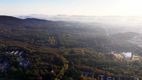 南京秋天 明孝陵 紫金山 钟山风景区