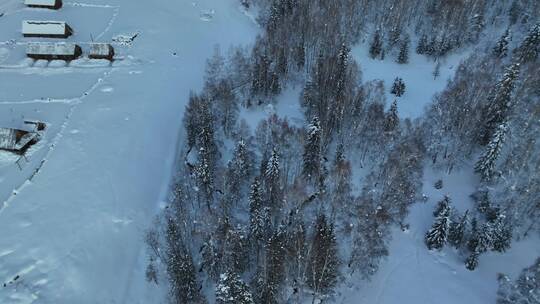 新疆和木冬季雪景