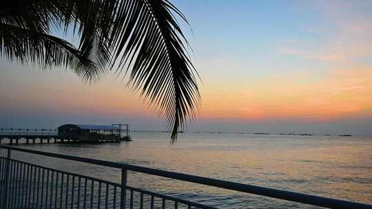 夕阳下的海边与椰树升格慢镜头