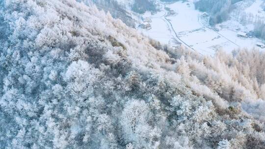 4k航拍恩施雪山雾凇风光