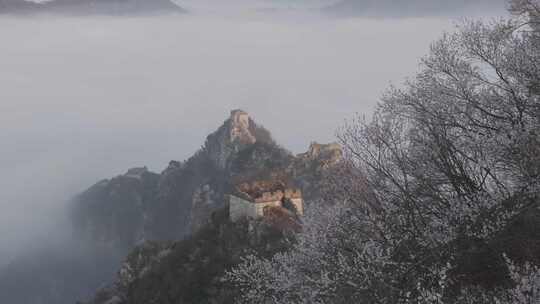 经典3倍左飞发现南二楼春色云海