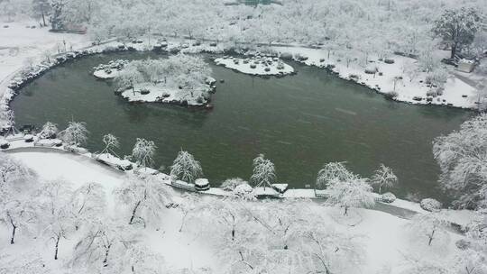 【航拍】东湖樱花园雪景02-1（2022.02.07）