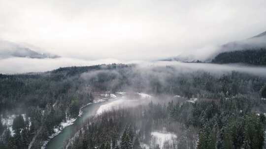 山，冬天，雪，树