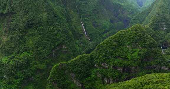 留尼汪岛，瀑布，森林，山脉