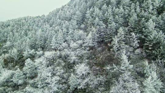 航拍三峡雪景