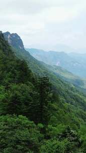 竖版航拍湖北神农架天燕景区4A景区