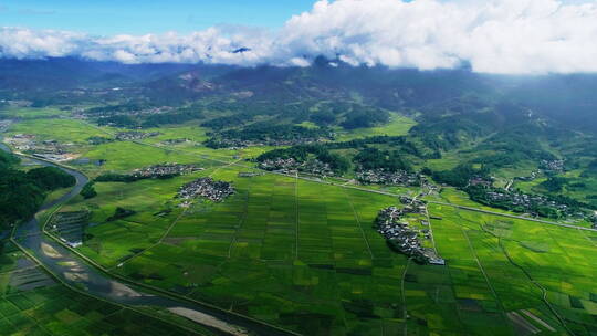 夏天绿色的乡村大地