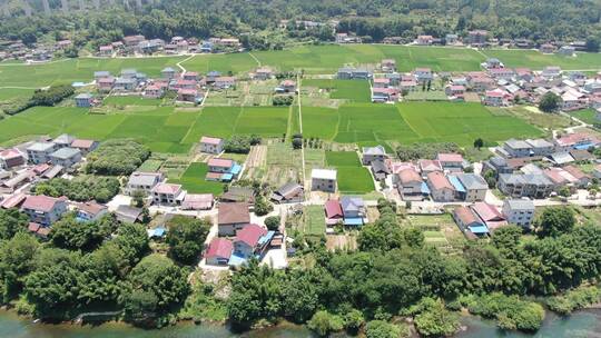 航拍美丽乡村田野农业稻田