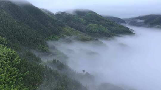 浙江云和景区云海风光航拍合集2