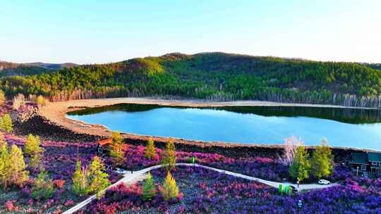 航拍火山堰塞湖达尔滨湖杜鹃花开