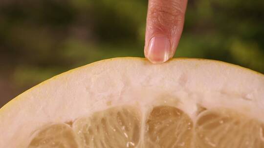 各种柚子果肉纹理微距
