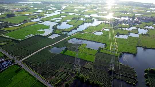 4K航拍智慧农田 水稻种植基地