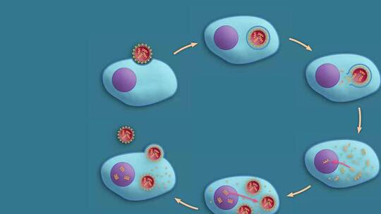 医学微观生物病毒细胞形态医疗三维动画展示