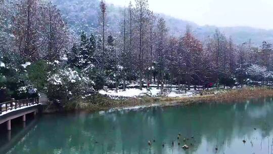 4K航拍杭州玉皇山八卦田遗址公园雪景