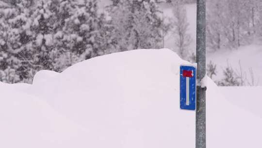 一场大雪，柱子上有路标