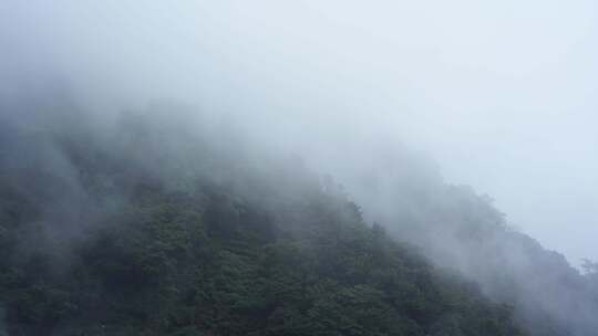 山雾自然风景