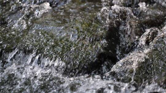 河谷大自然山泉水