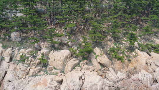 青岛航拍海岸线浪花礁石