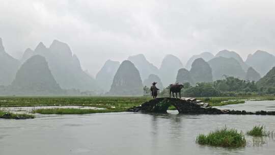 水边石拱桥旁的水牛和戴帽农民