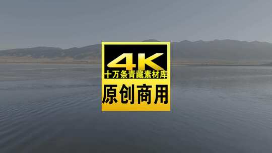 青海青海湖湖面飞鸟航拍视频高清在线视频素材下载