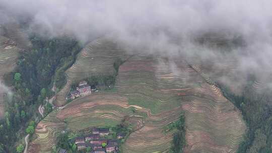 龙脊梯田航拍