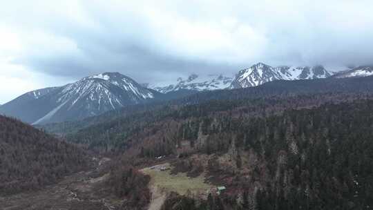 航拍云南香格里拉雪山森林草原 自然风光