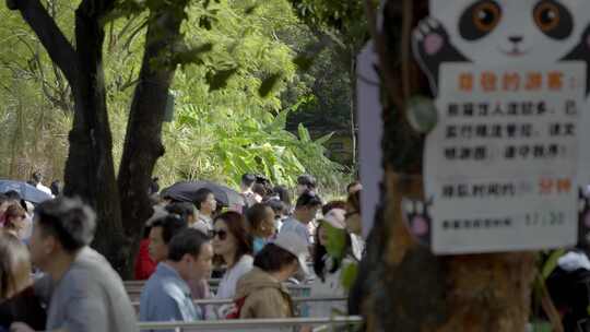 2023广州动物园游览游客