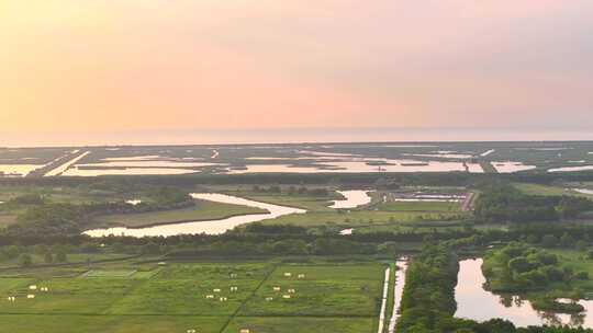 金色日出上海崇明岛东滩湿地全景