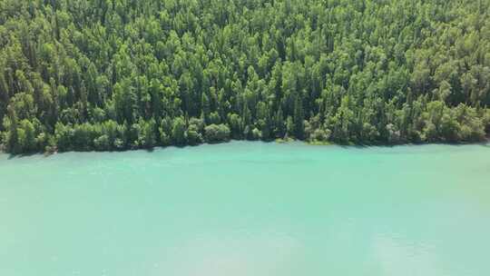 航拍夏季新疆喀纳斯河风景