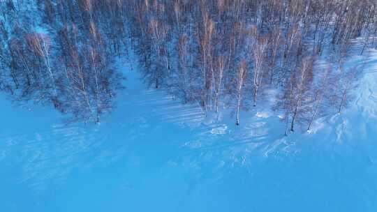 银色雪原冰雪白桦林