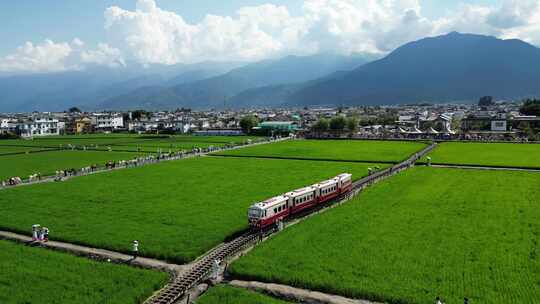 大理稻田小火车风景