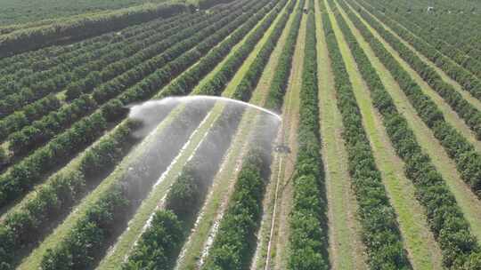 草地农业灌溉系统新农村乡村振兴机械化作业