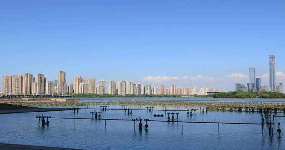 蓝天下苏州美丽金鸡湖城市远景