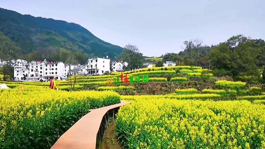 治愈风景，看淡所有的渐行渐远。治愈系风景