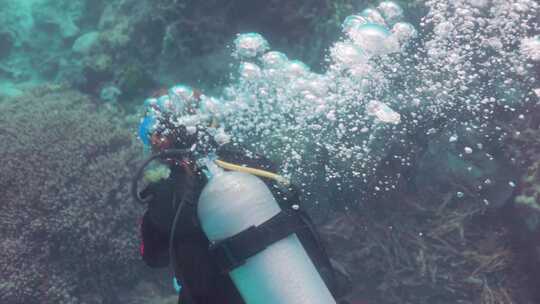 氧气罐，水肺，潜水员，海洋