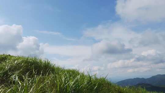 蓝天白云山坡风吹草地清新自然空镜