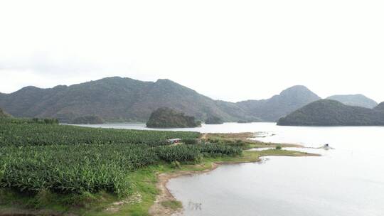 山峦河流后飞芭蕉林