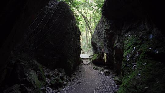 杭州宝石山景区蝙蝠洞