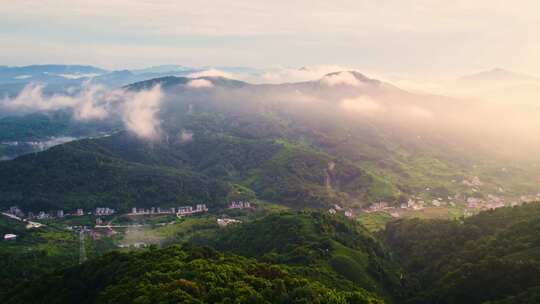 河源龙王嶂茶园航拍视频4K